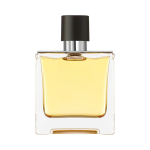 232 inspiriran po HERMES - TERRE D'HERMES Inspired Image