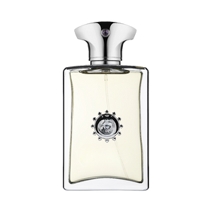 681 inspired by AMOUAGE - REFLECTION MAN Inspired Image