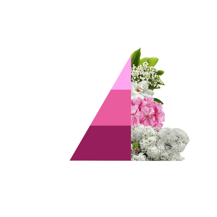 AMOUR Parfums Vse za perilo HOROMIA parfum za pranje perila SOFFICE TALCO