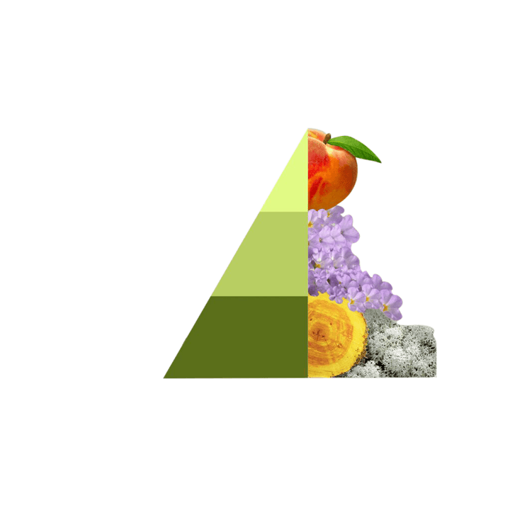 AMOUR Parfums Vse za perilo HOROMIA parfum za pranje perila MUSICA DEL SOLE